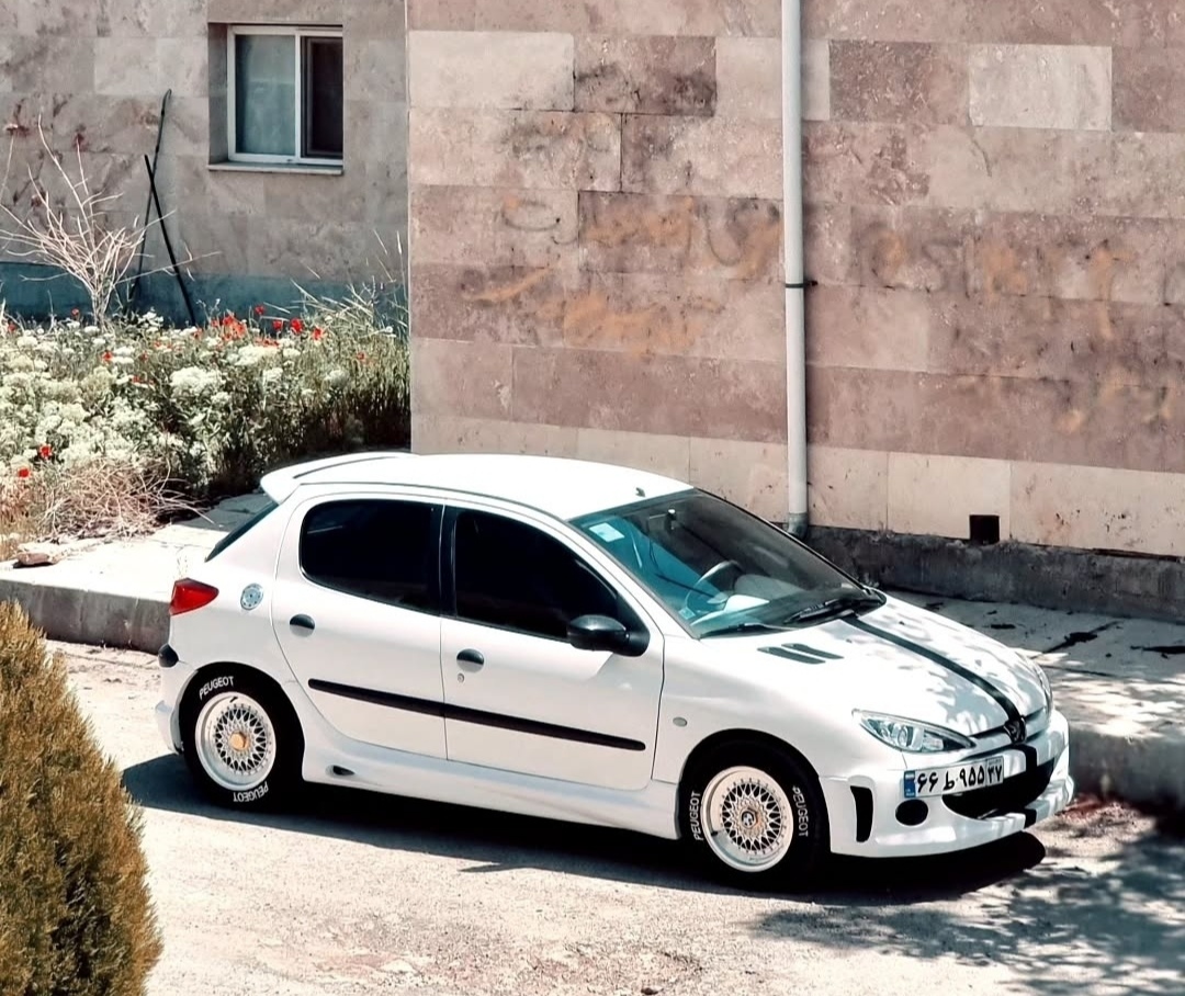 فلاپ رکاب ۲۰۶