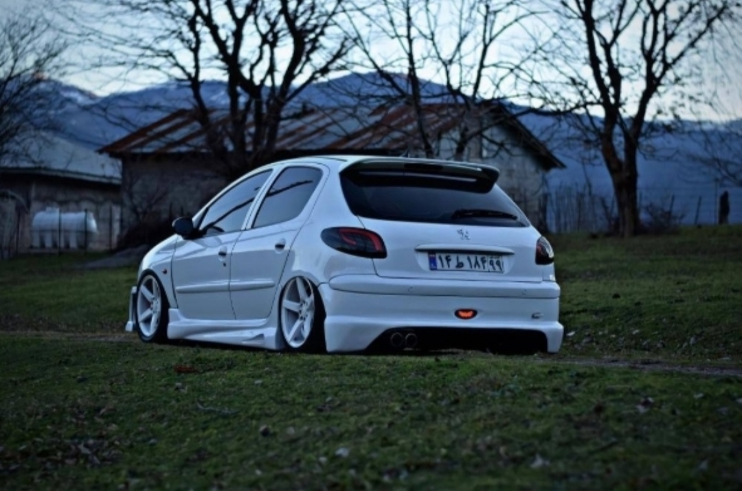 فلاپ رکاب ۲۰۶